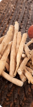 herb image