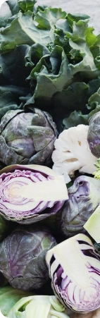 herb image