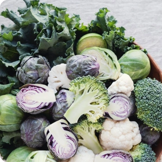 herb image